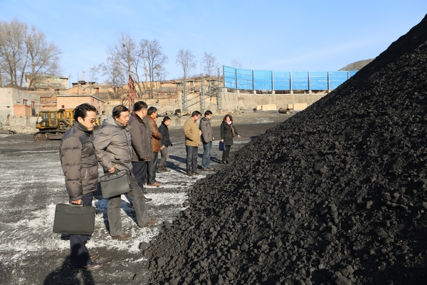 檢查組成員深入煤場了解煤質(zhì)情況